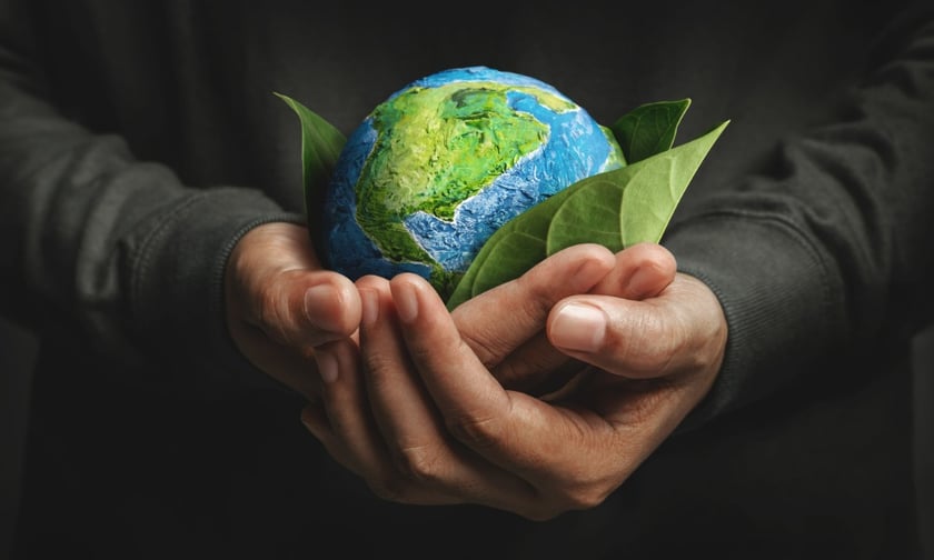 S&P warns of rising climate risks for P&C insurers despite diversification  efforts | Reinsurance Business