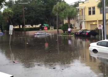 Flood insurance premiums may decrease for Bay Area residents | FOX 13 Tampa Bay